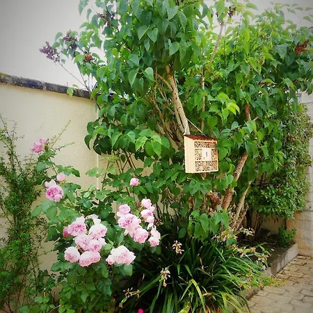 Pony Sweet Bed & Breakfast