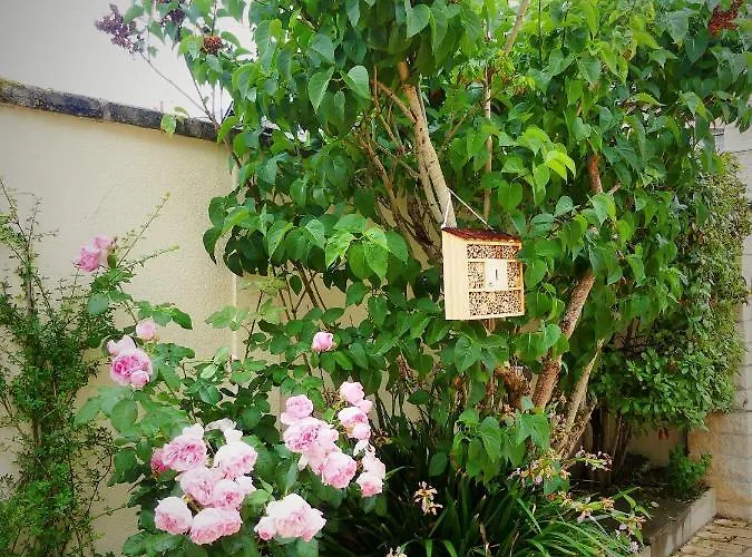 Pony Sweet Bed & Breakfast